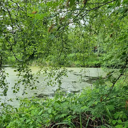 Modern Architect House By On Helgenaes Casa vacanze